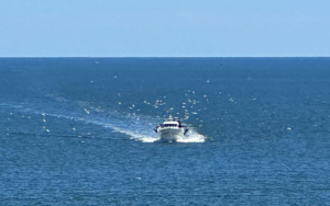 Retour de pêche