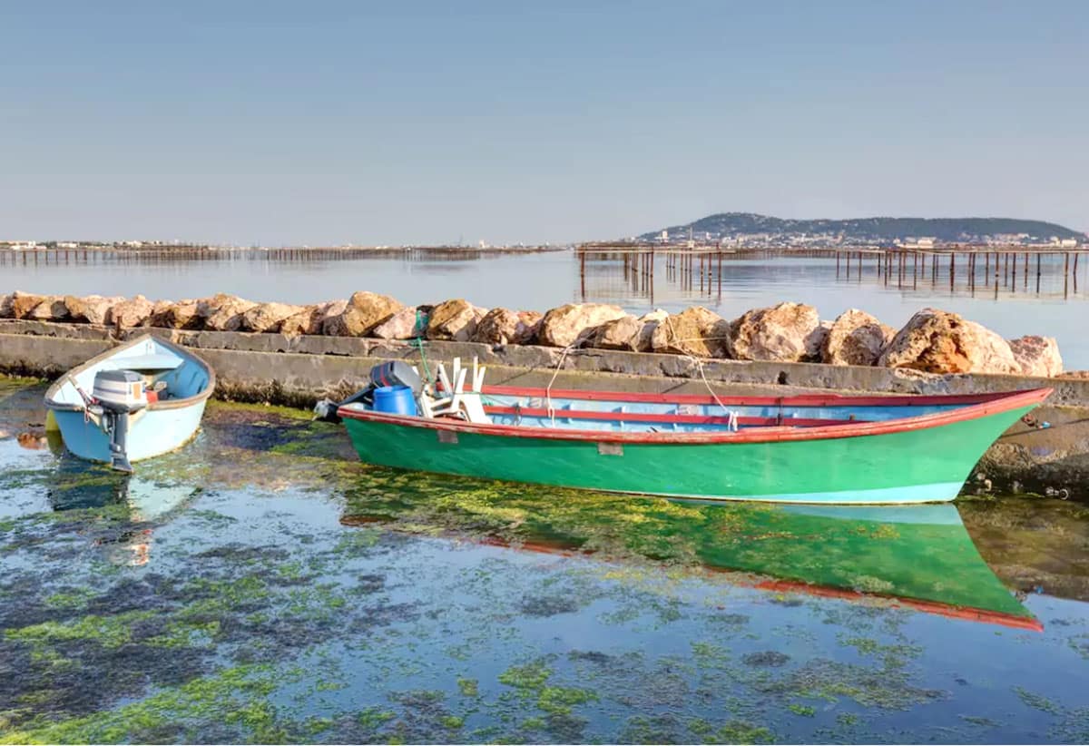 Bouzigues, parcs à huitres